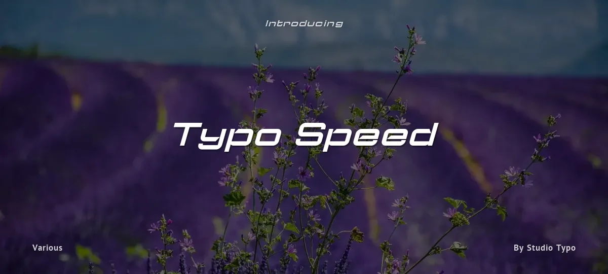 Typo Speed font preview