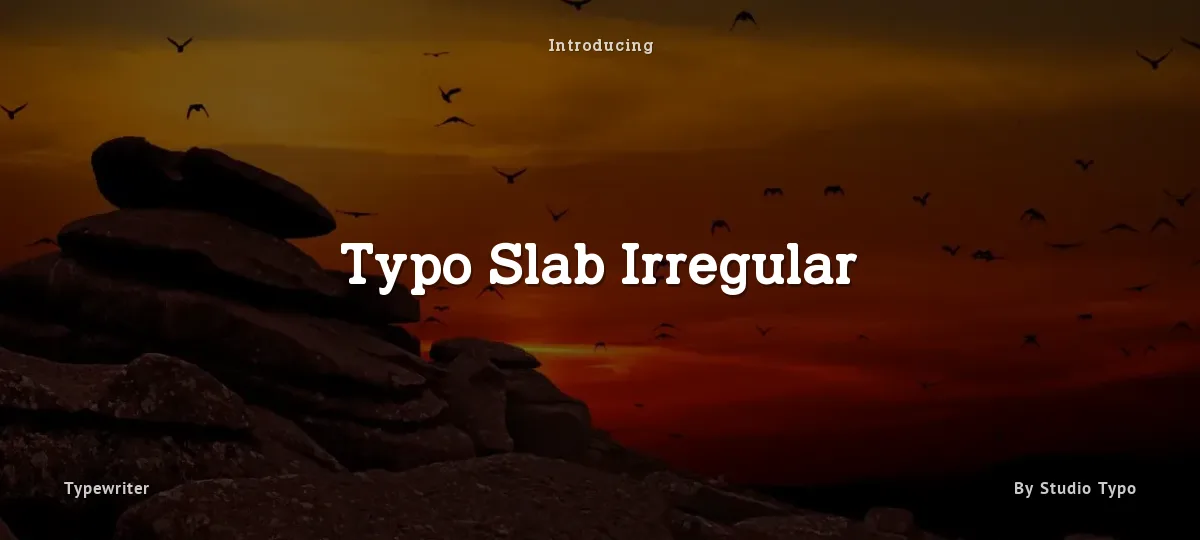 Typo Slab Irregular font preview