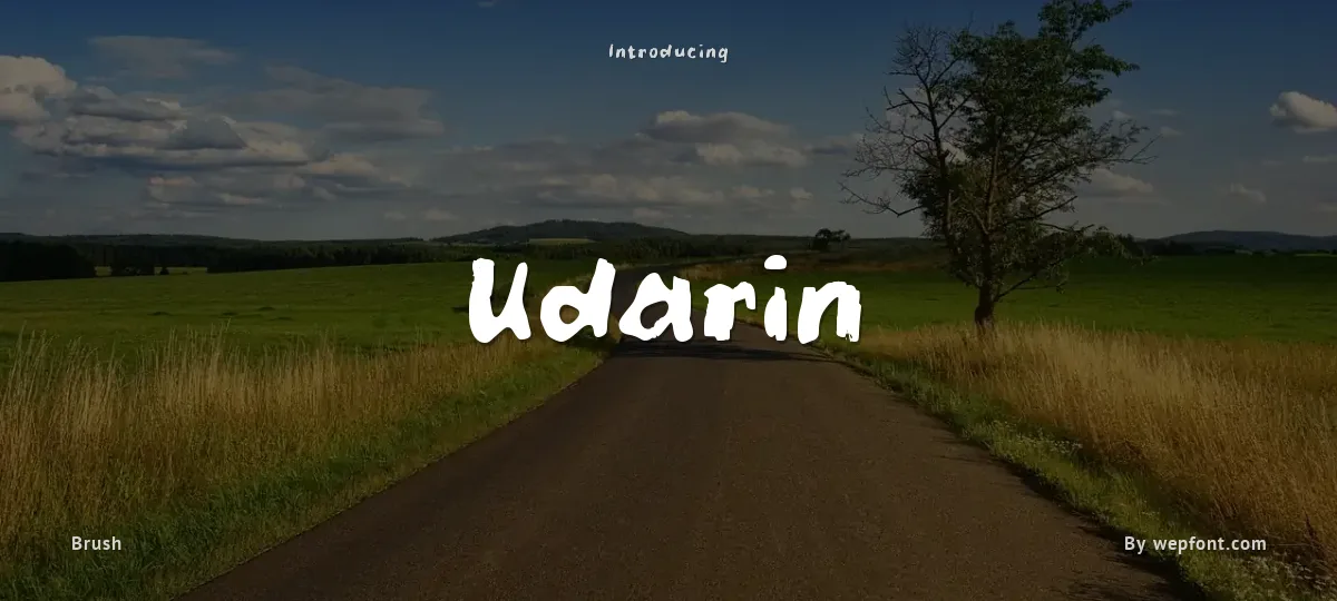 Udarin font preview