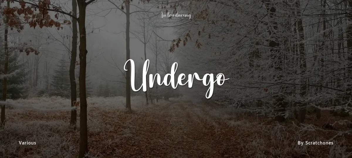 Undergo font preview