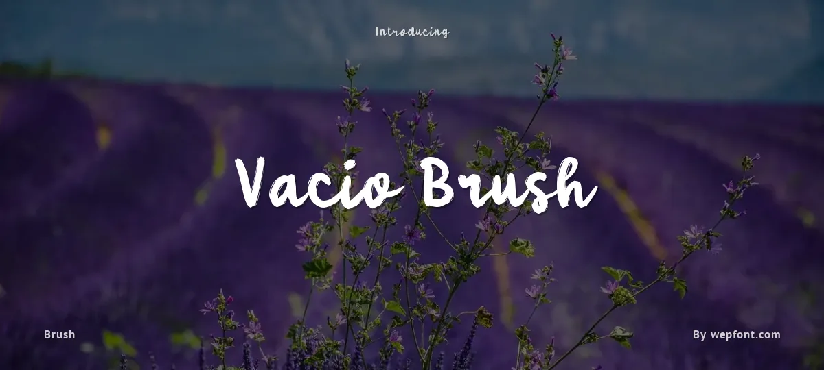 Vacio Brush font preview