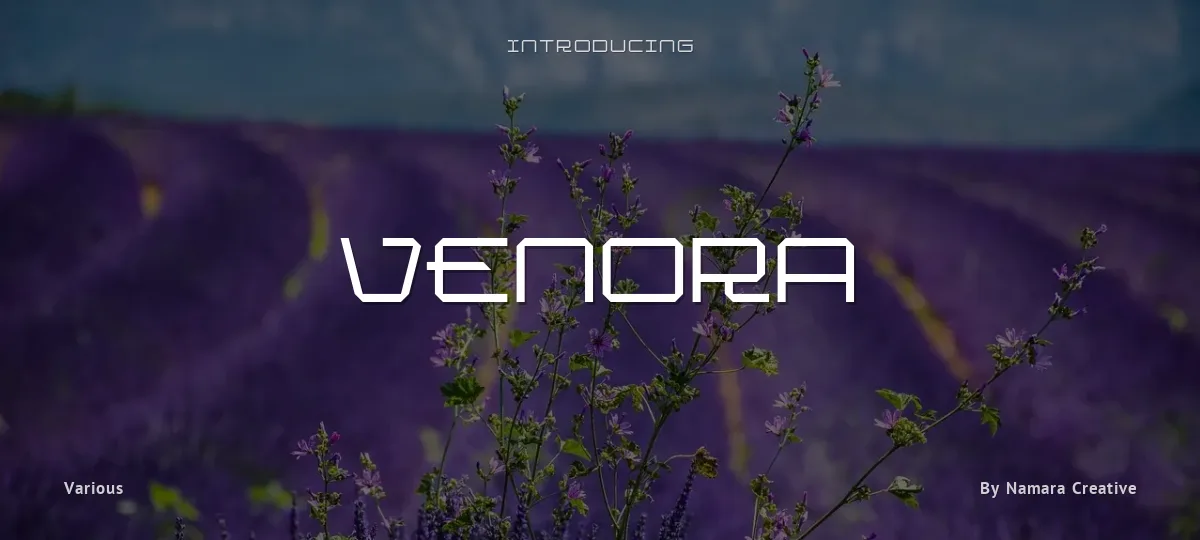 Venora font preview