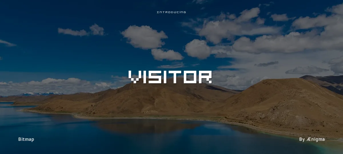 Visitor font preview