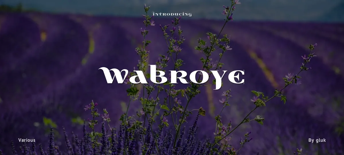 Wabroye font preview