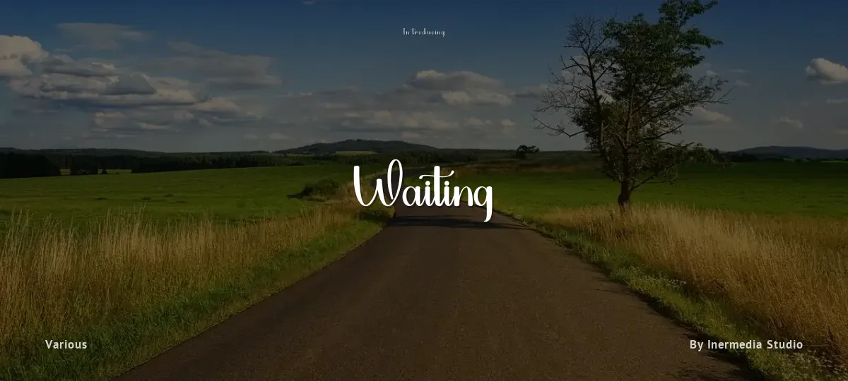 Waiting font preview