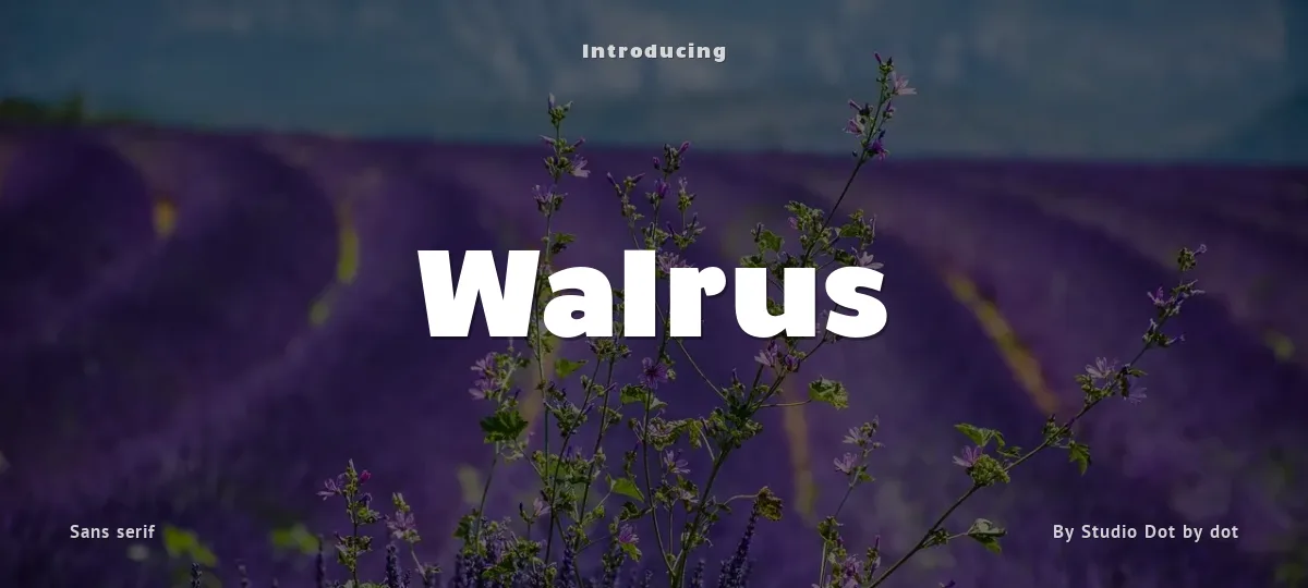 Walrus font preview