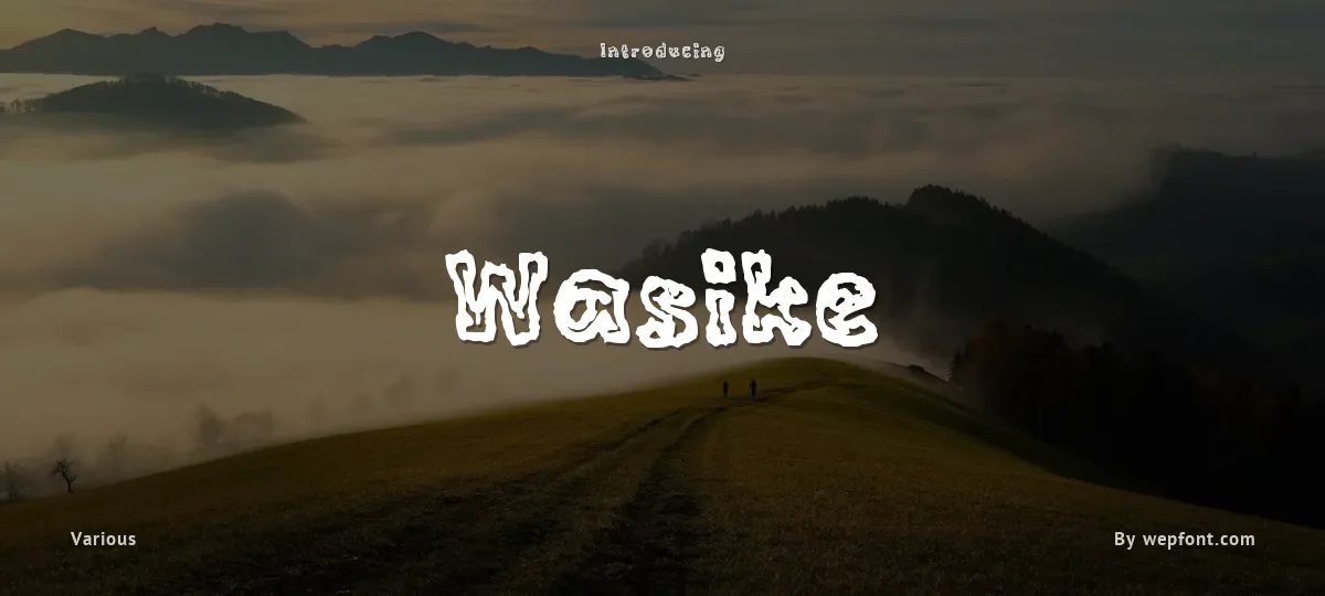 Wasike font preview