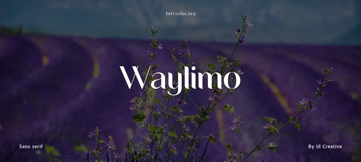 Waylimo font preview