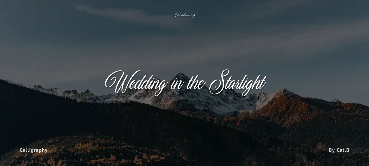 Wedding in the Starlight font preview