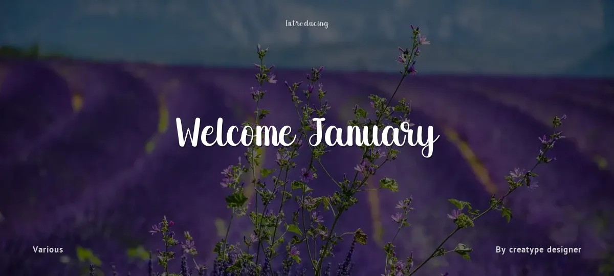 Welcome January font preview