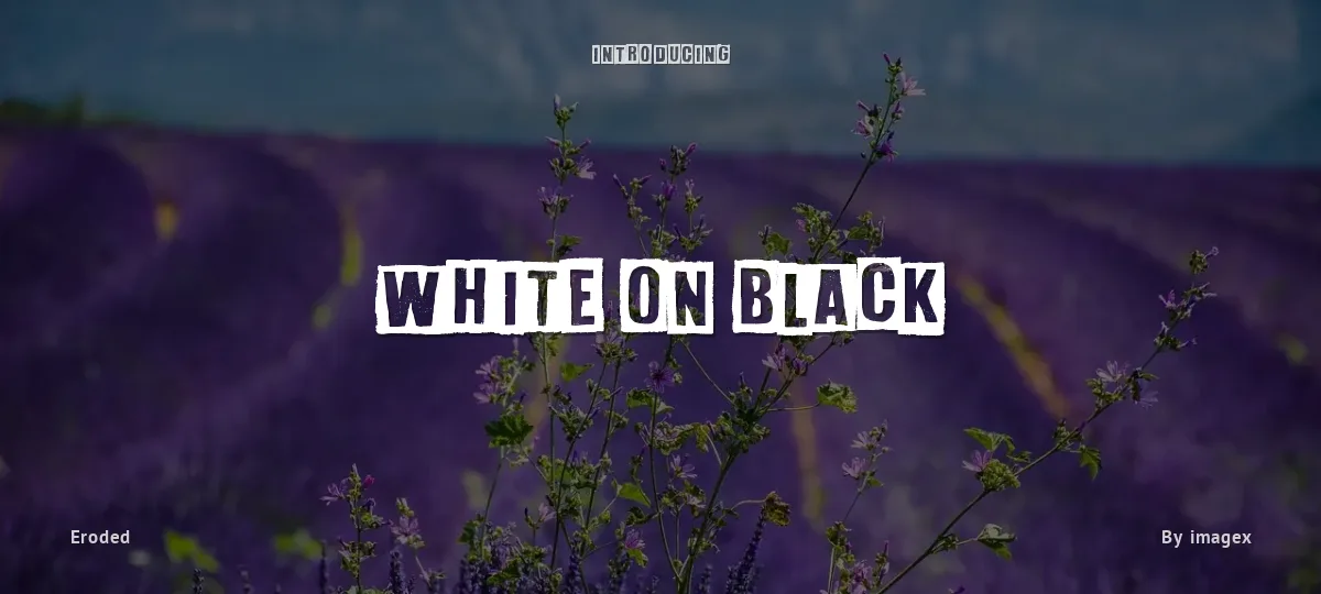 White On Black font preview