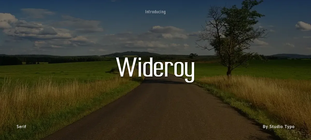Wideroy font preview