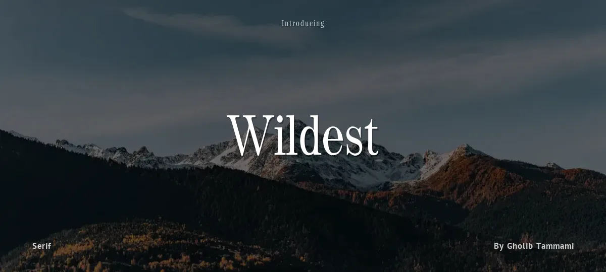 Wildest font preview
