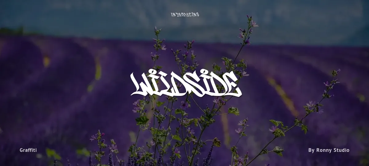Wildside font preview