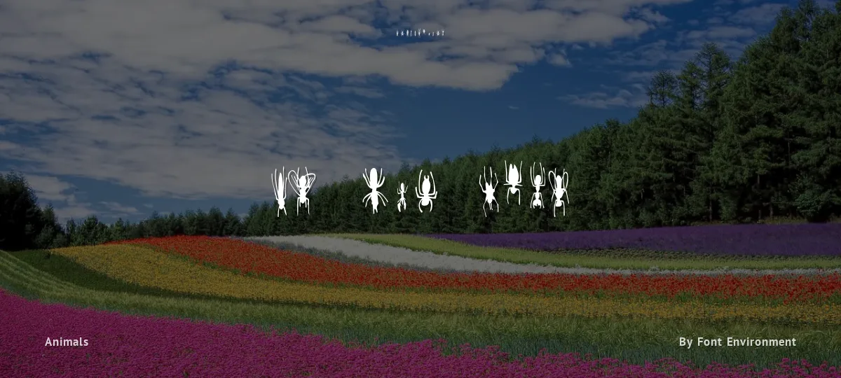 FE Win Bugs font preview