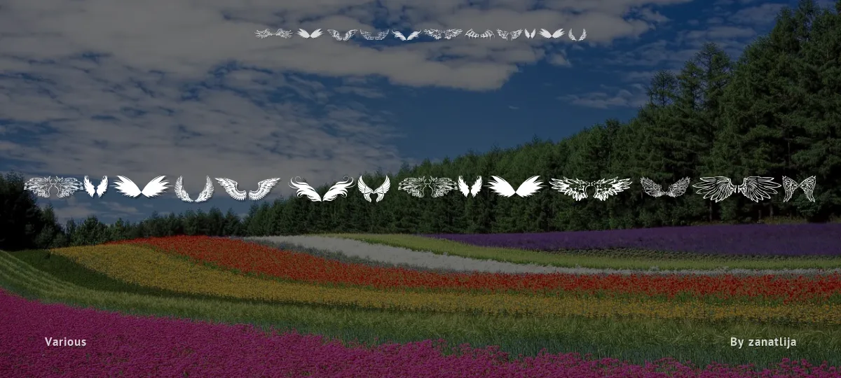 Wings of Wind TFB font preview