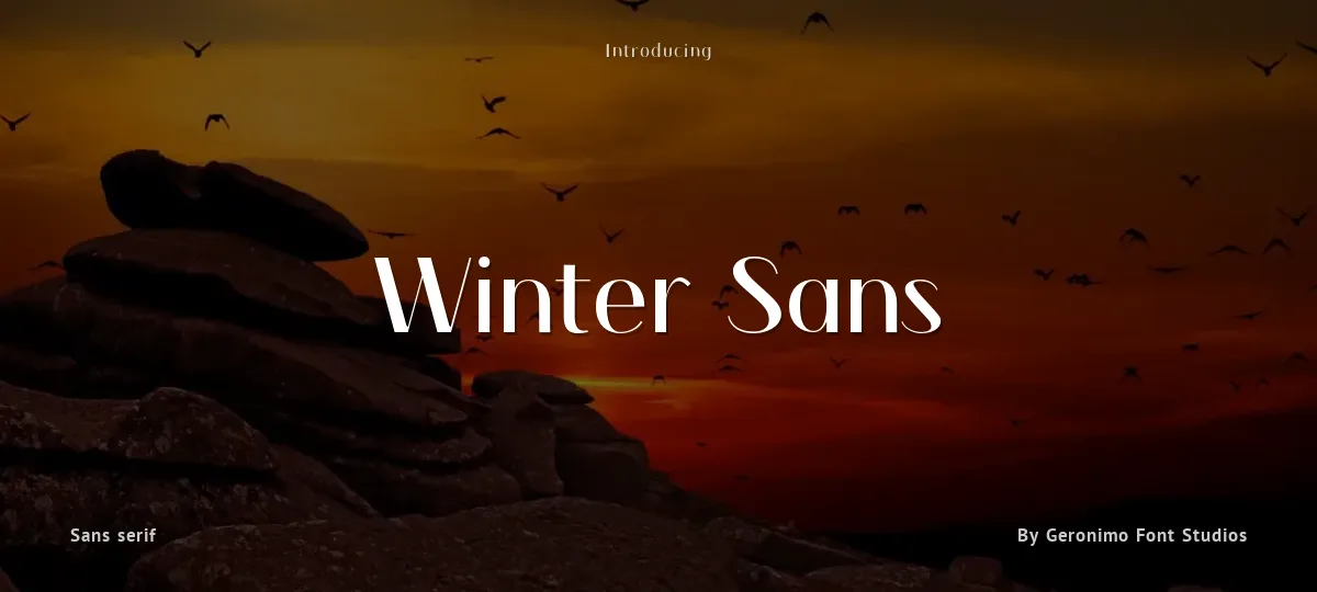 Winter Sans font preview