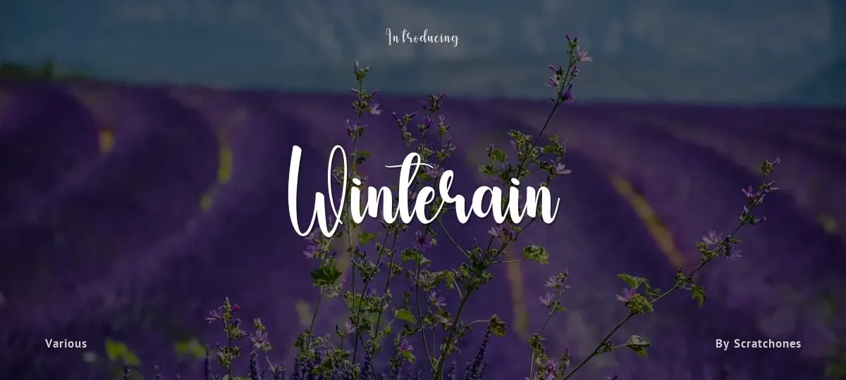 Winterain font preview