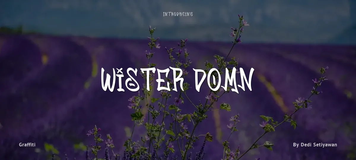 Wister Domn font preview