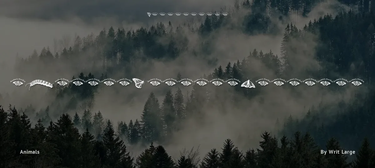 WL Royal Flutter Dingbats font preview
