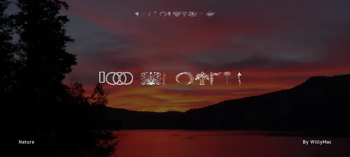 WM Flowers font preview