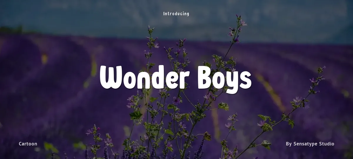 Wonder Boys font preview