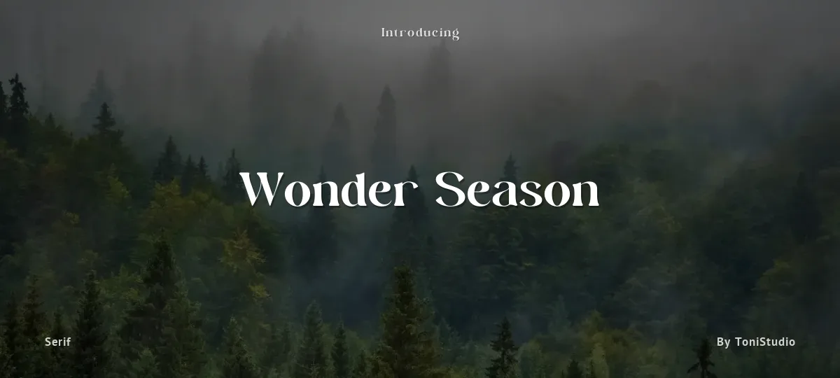 Wonder Season font preview