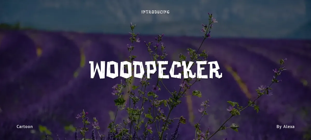 Woodpecker font preview