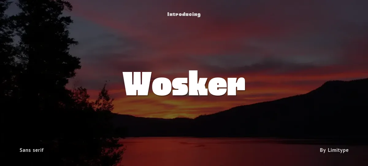 Wosker font preview