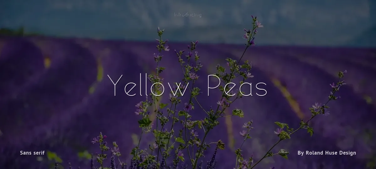 Yellow Peas font preview
