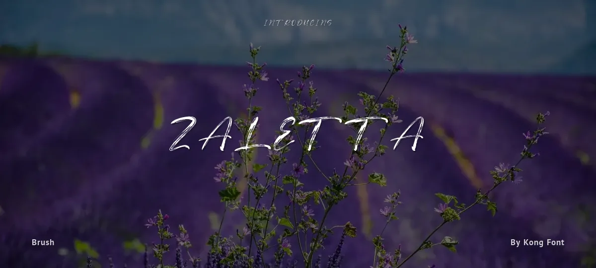 Zaletta font preview