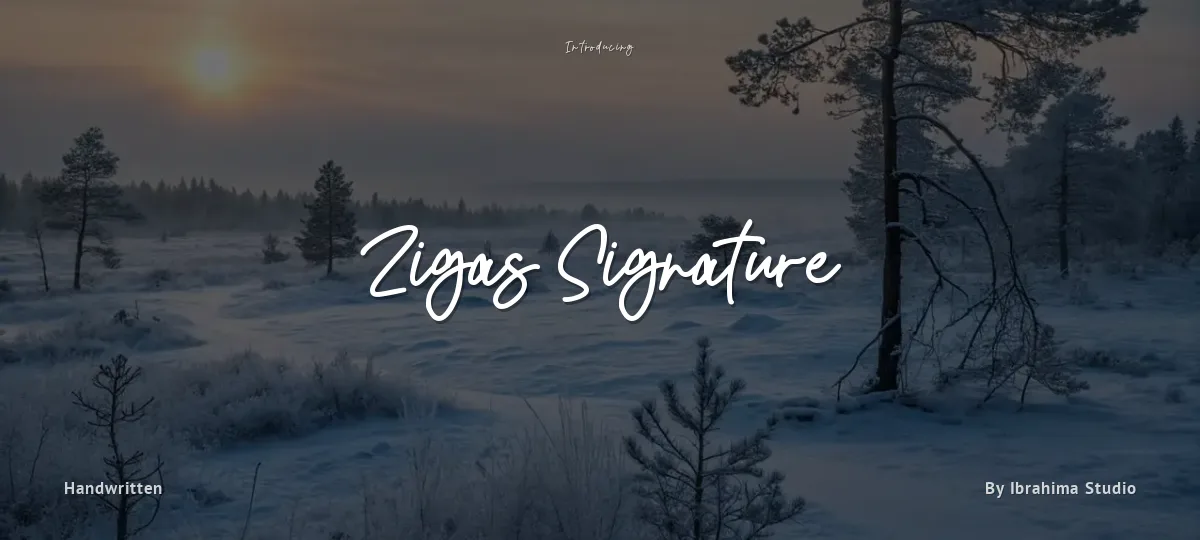 Zigas Signature font preview
